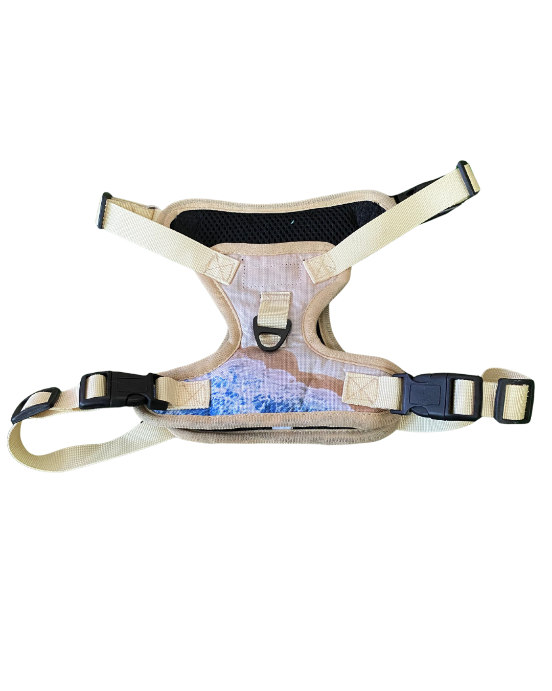 kit de paseo elegante