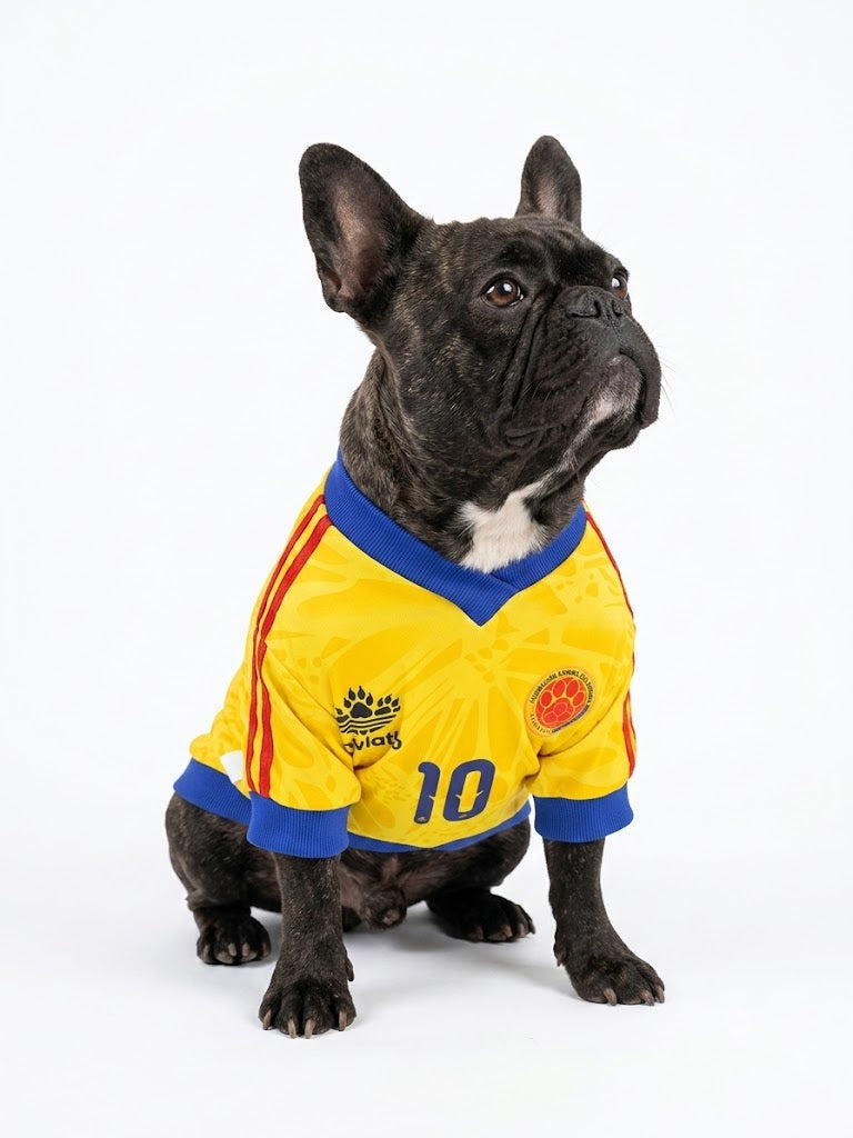 Camiseta "Fanático" – Colección Bloque Tricolor