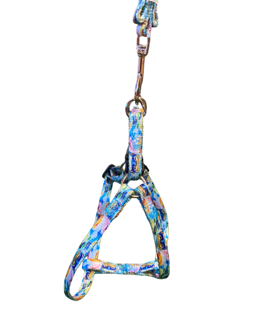 COLECCIÓN PRISMA