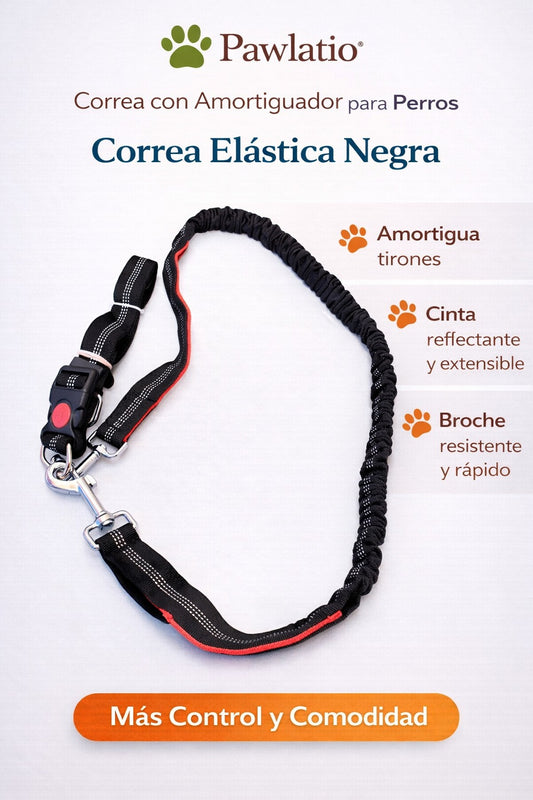 Correa elastica