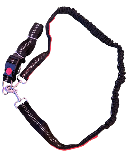 Correa elastica