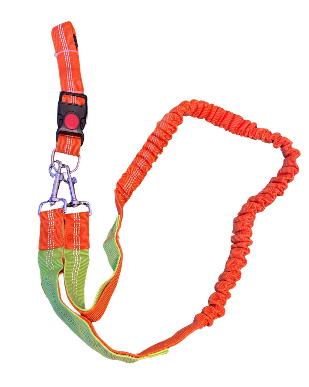 Correa elastica