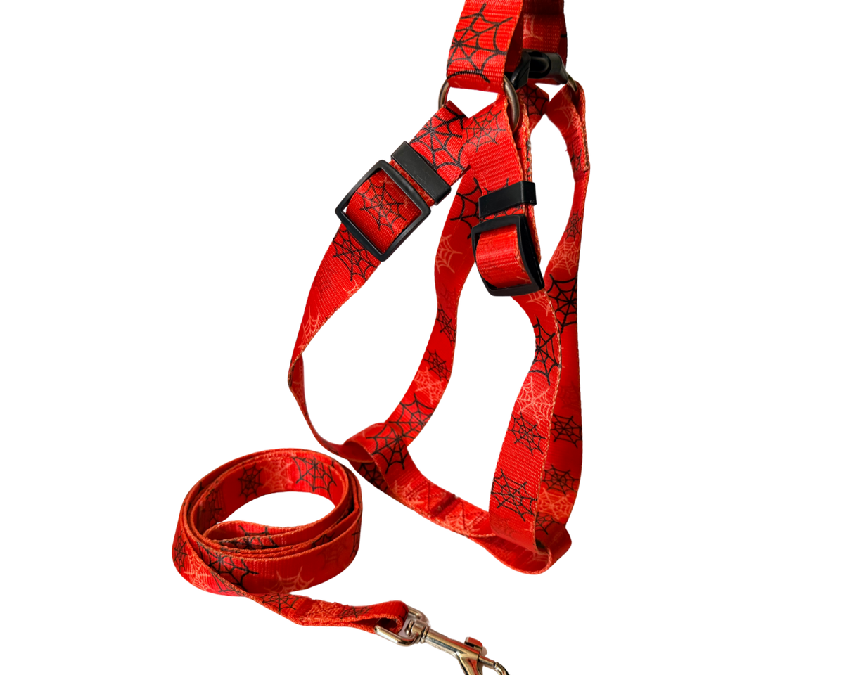 COLECCIÓN HEROICO