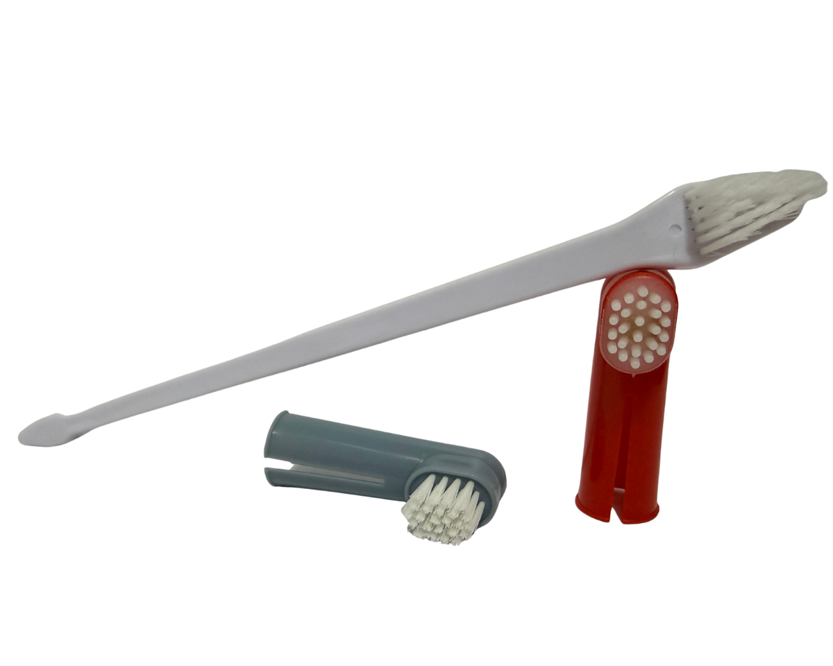CEPILLO DE DIENTES