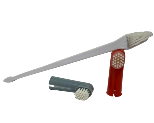 CEPILLO DE DIENTES