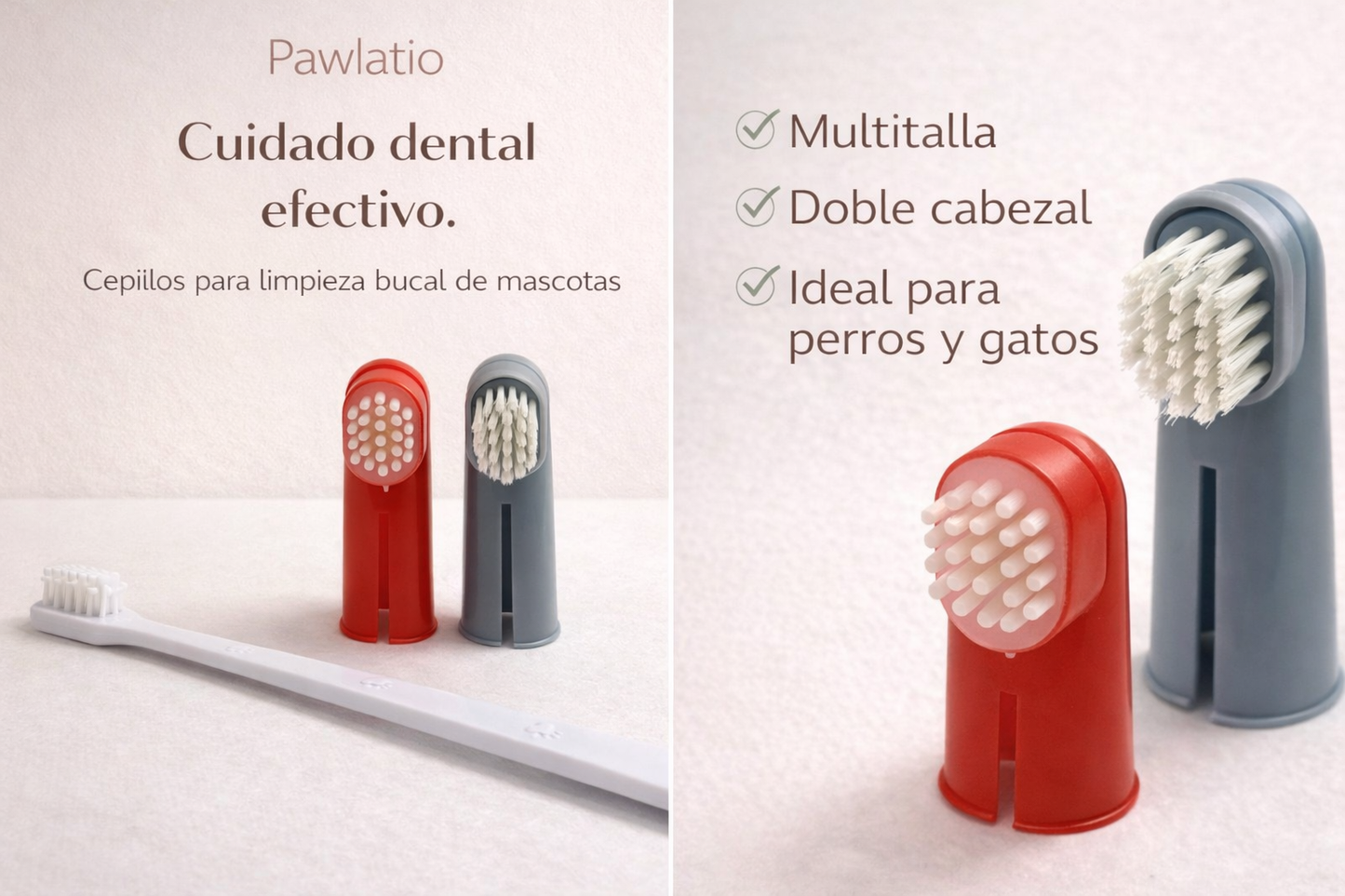 CEPILLO DE DIENTES