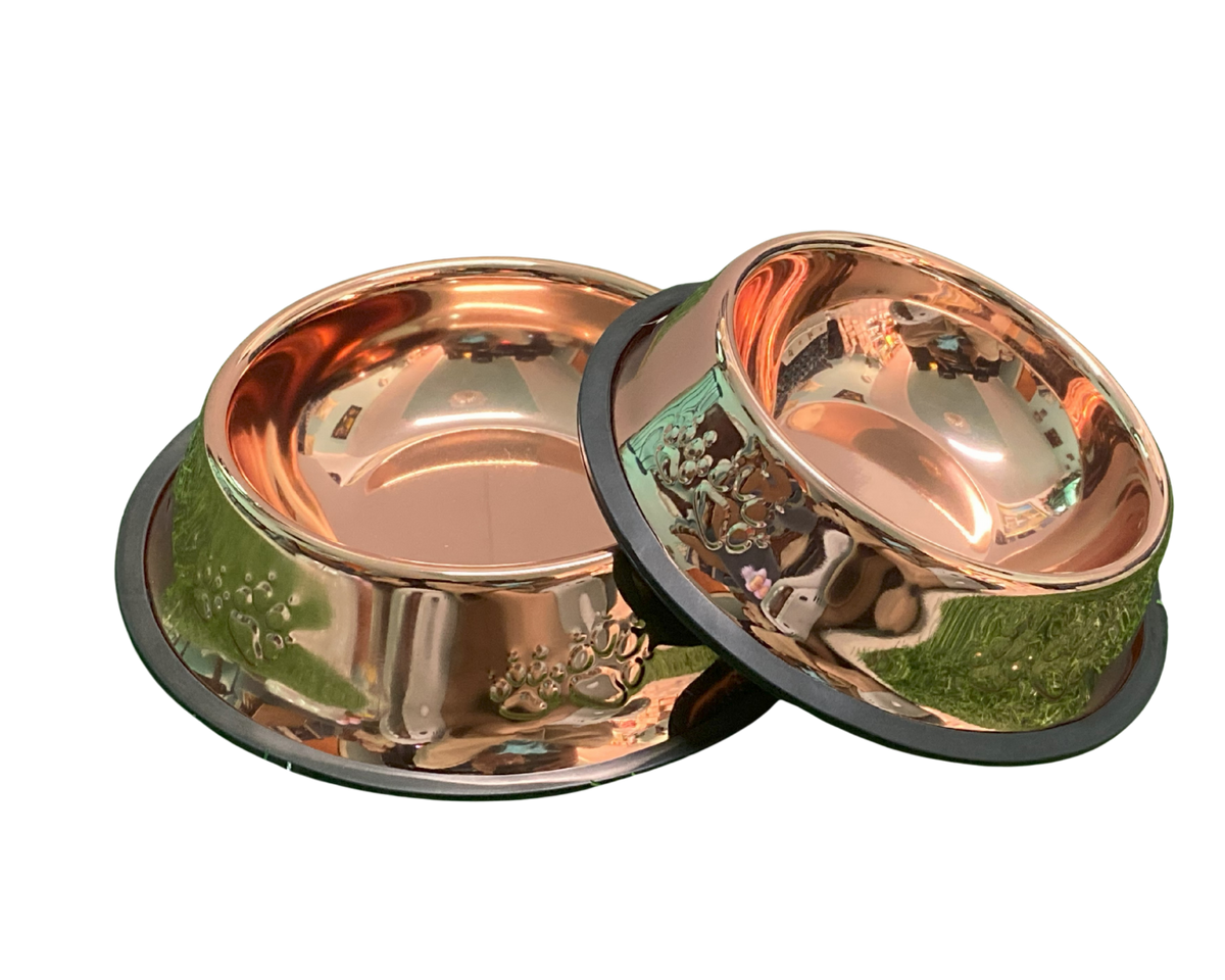 Bowl Premium Pawlatio – Acero Inoxidable Dorado