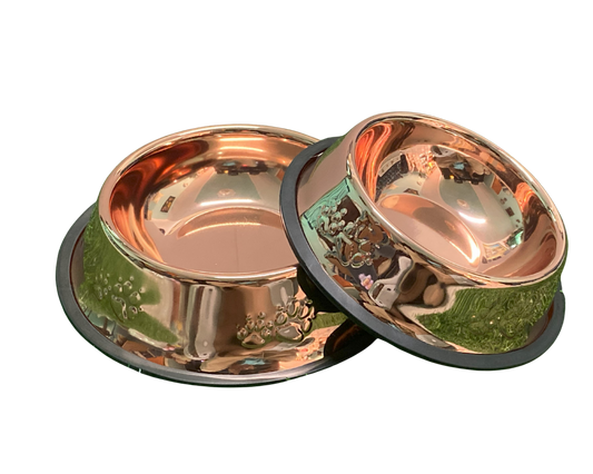 Bowl Premium Pawlatio – Acero Inoxidable Dorado