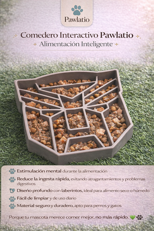 Comedero Interactivo Pawlatio – Alimentación Inteligente