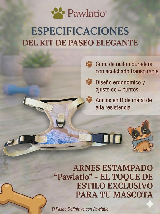 kit de paseo elegante