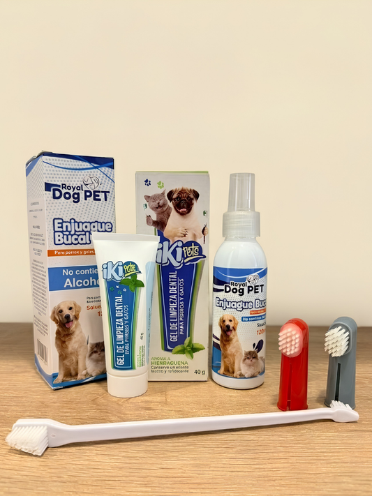 Kit Dental Mascota Pawlatio