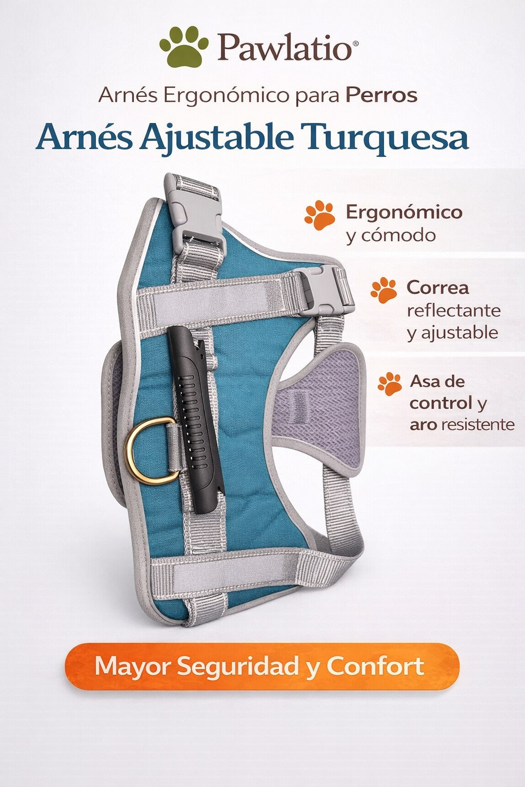 Arnes ajustable turquesa