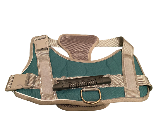 Arnes ajustable turquesa