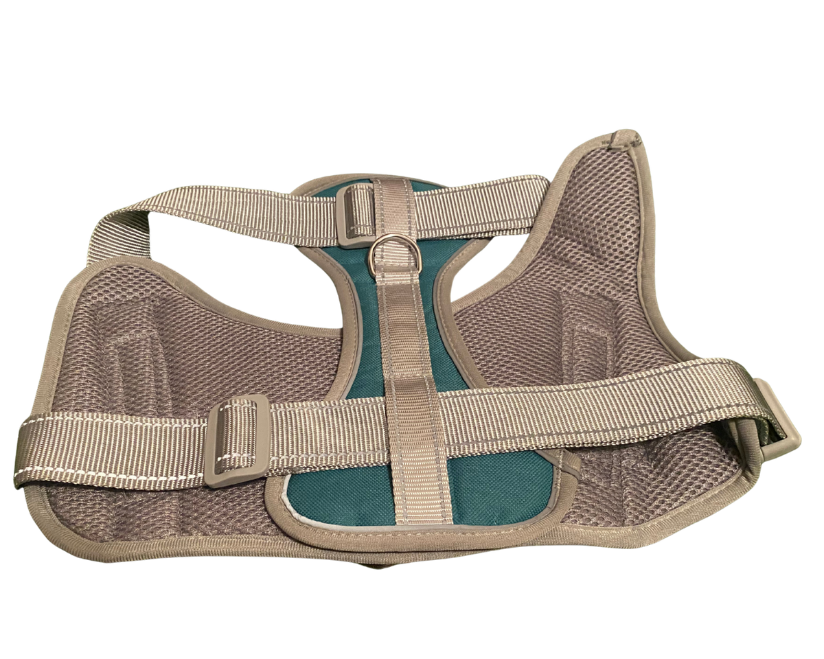 Arnes ajustable turquesa