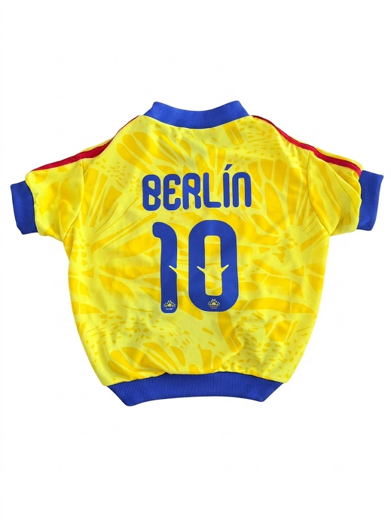 Camiseta "Fanático" – Colección Bloque Tricolor